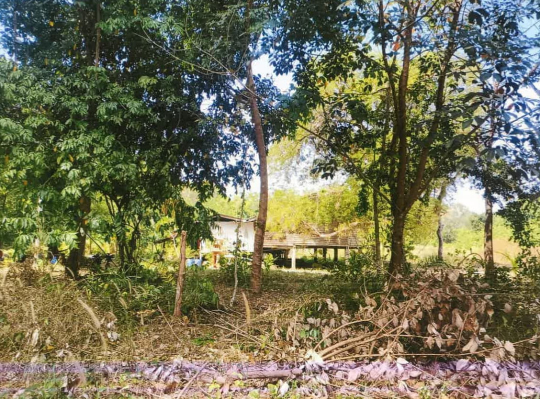 บ้านเดี่ยว จันทบุรี ท่าใหม่ คลองขุด 316965