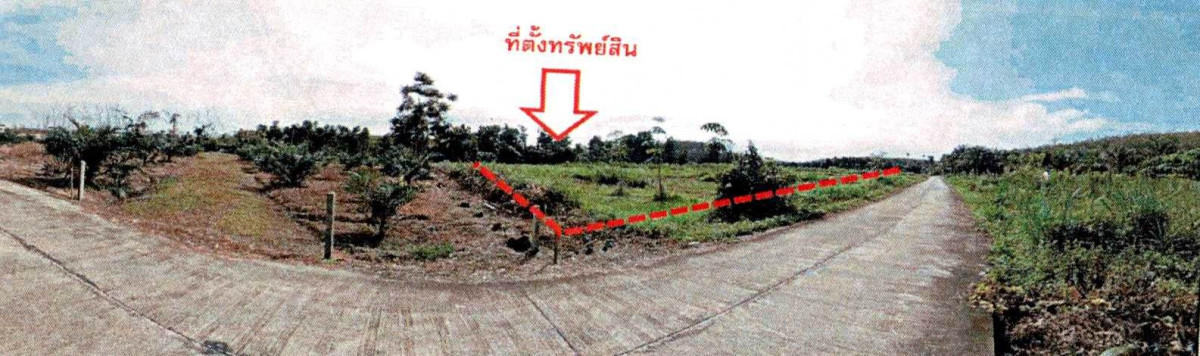 ที่ดินเปล่า นครศรีธรรมราช ทุ่งใหญ่ ท่ายาง 2184750