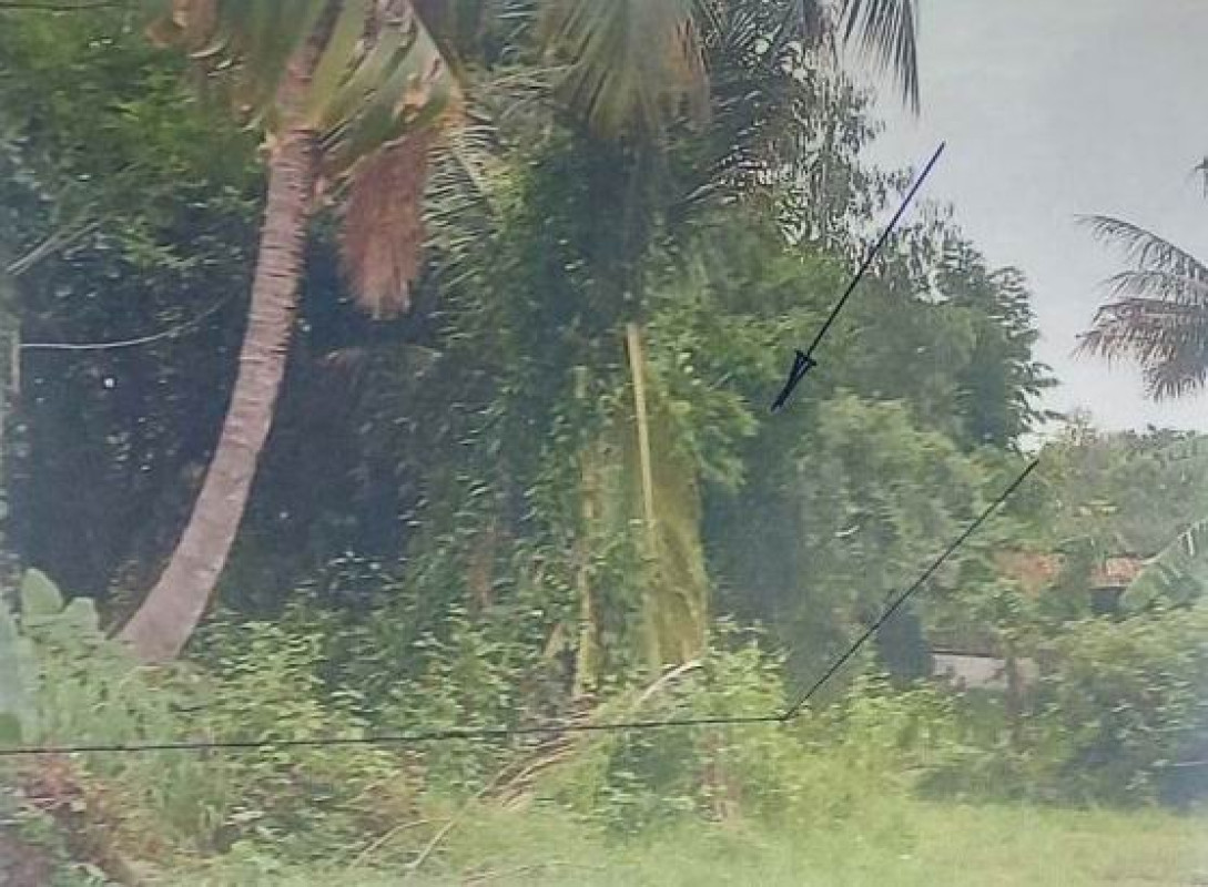 Residential land/lot Udon Thani Sang Khom Na Sa-At 501000