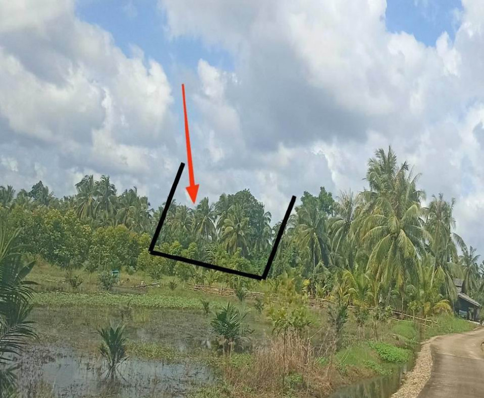 Residential land/lot Nakhon Si Thammarat Chian Yai Sai Mak 53500