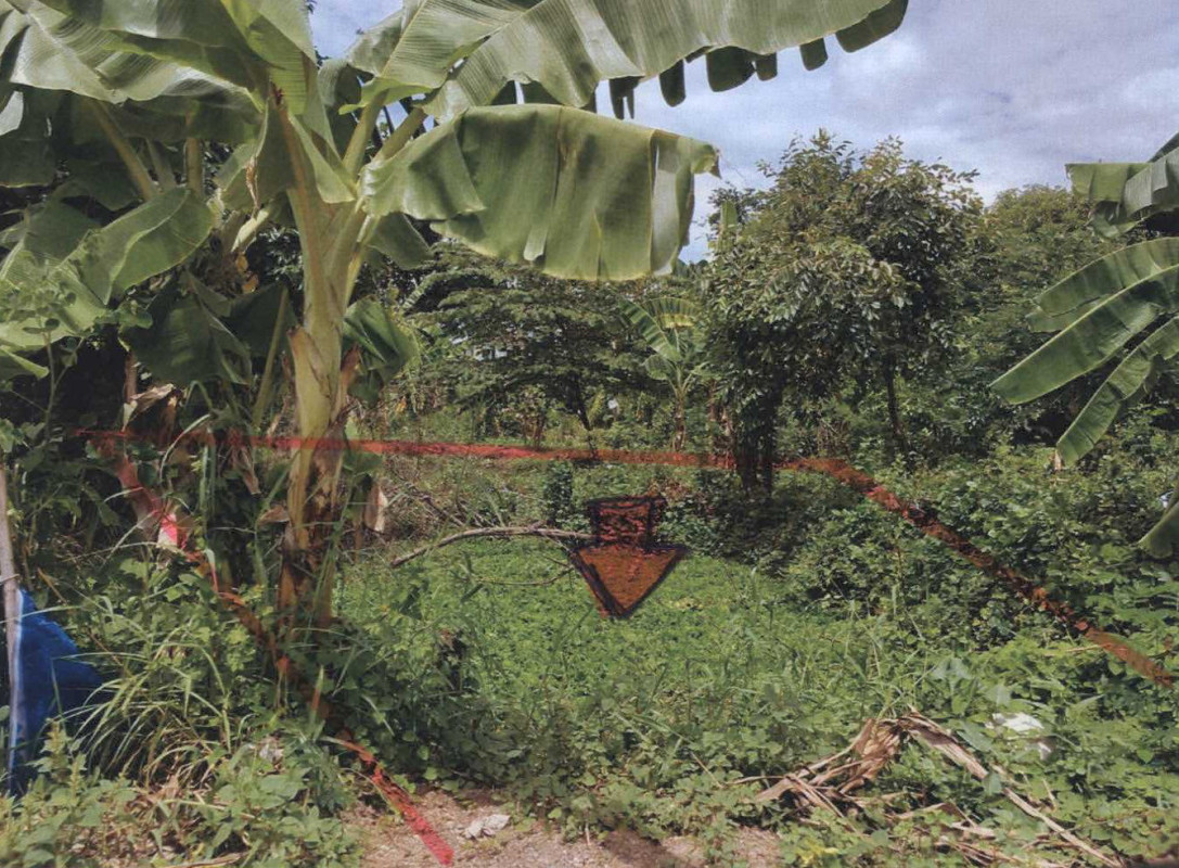 Residential land/lot Nonthaburi Bang Bua Thong Lahan 187200