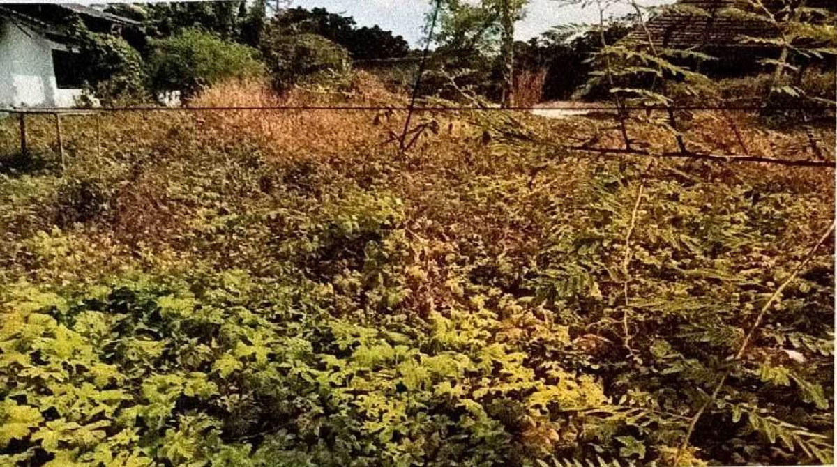 Residential land/lot Nakhon Si Thammarat Chang Klang Chang Klang 325000