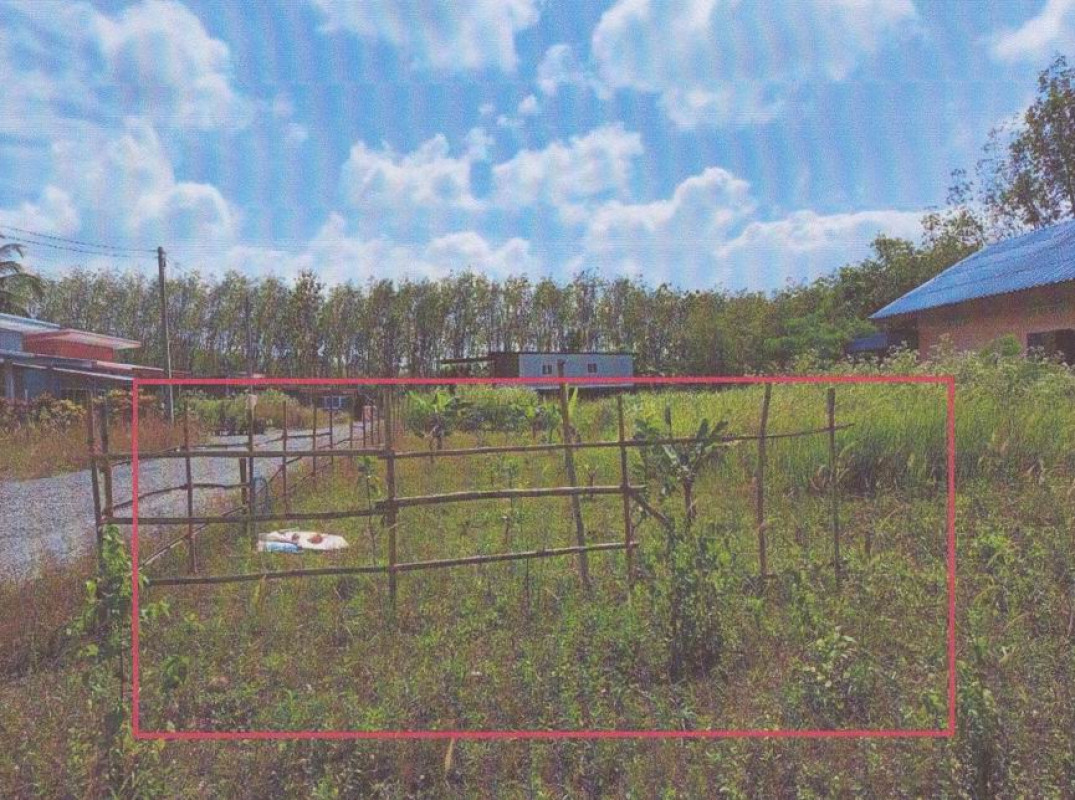 Residential land/lot Nakhon Si Thammarat Thung Song Thi Wang 161000