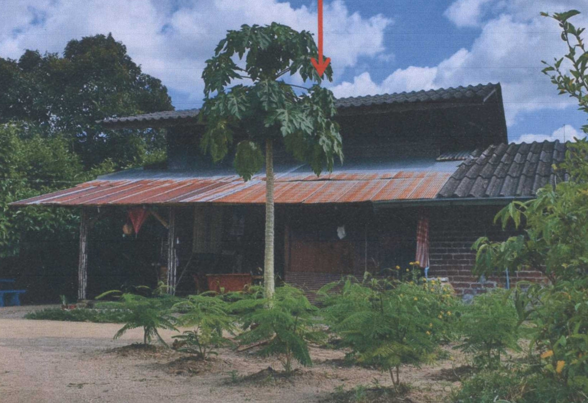 บ้านเดี่ยว นครศรีธรรมราช ลานสกา ท่าดี 143300