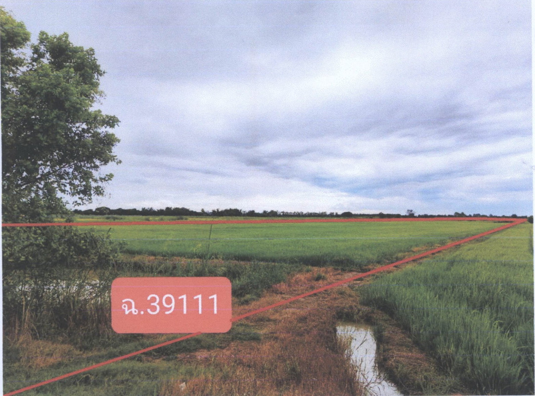 Residential land/lot Phichit Taphan Hin Dong Takhop 335775