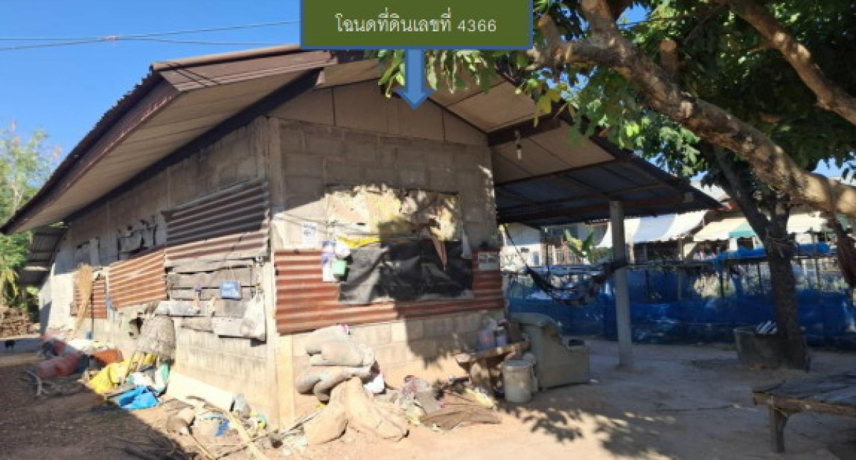 บ้านเดี่ยว มหาสารคาม ชื่นชม กุดปลาดุก 401040