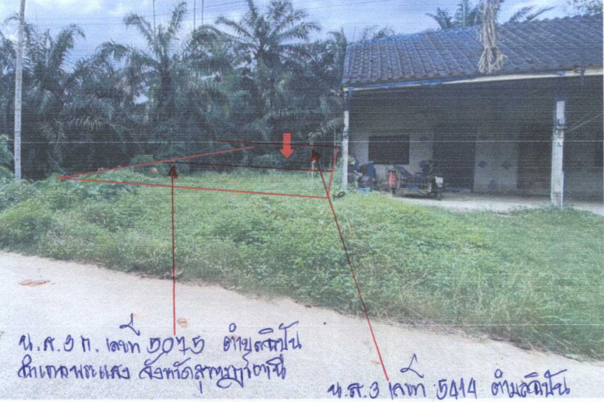 Residential land/lot Surat Thani Phrasaeng I Pan 70400