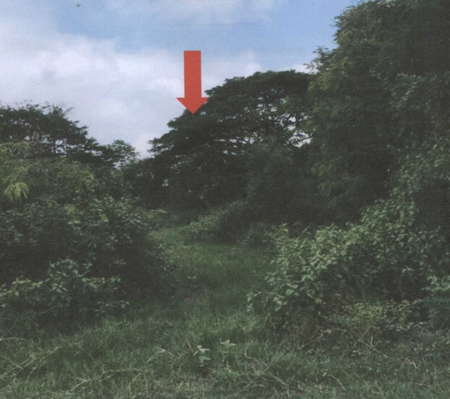 Residential land/lot Maha Sarakham Kantharawichai Khok Phra 1335000