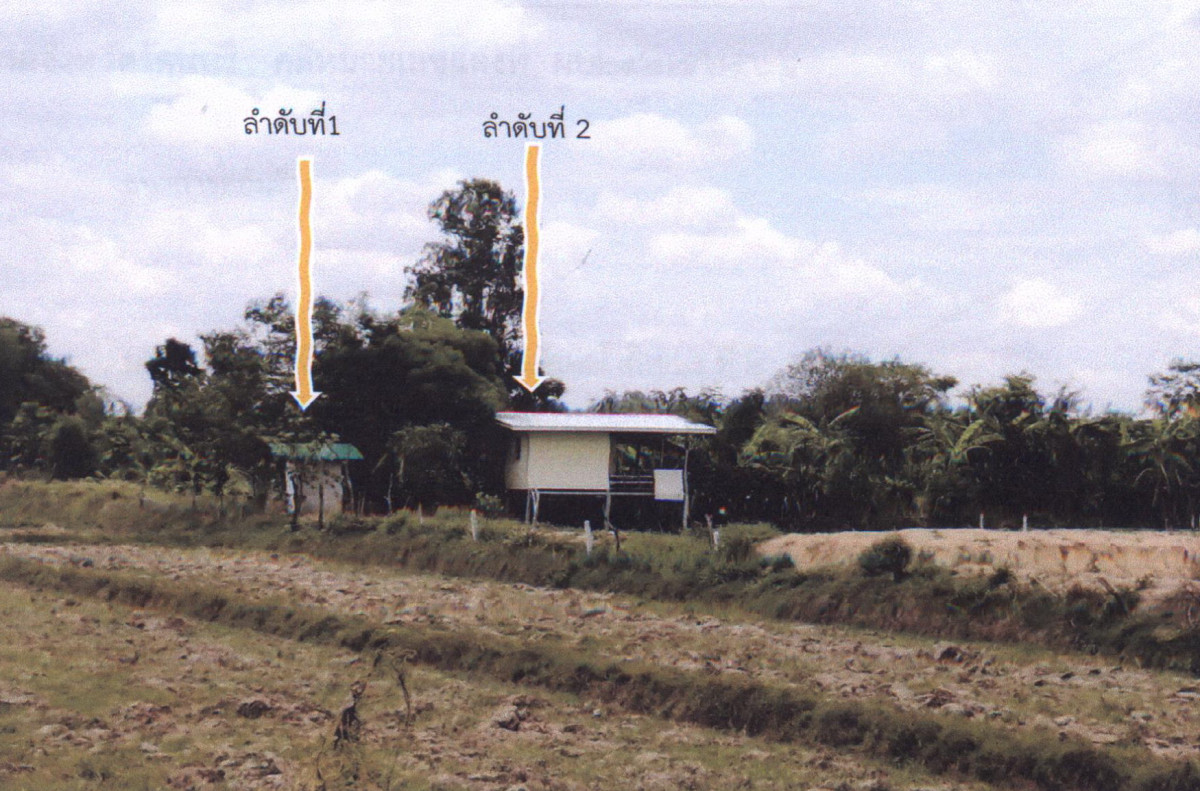 บ้านเดี่ยว สุรินทร์ ท่าตูม หนองเมธี 645950