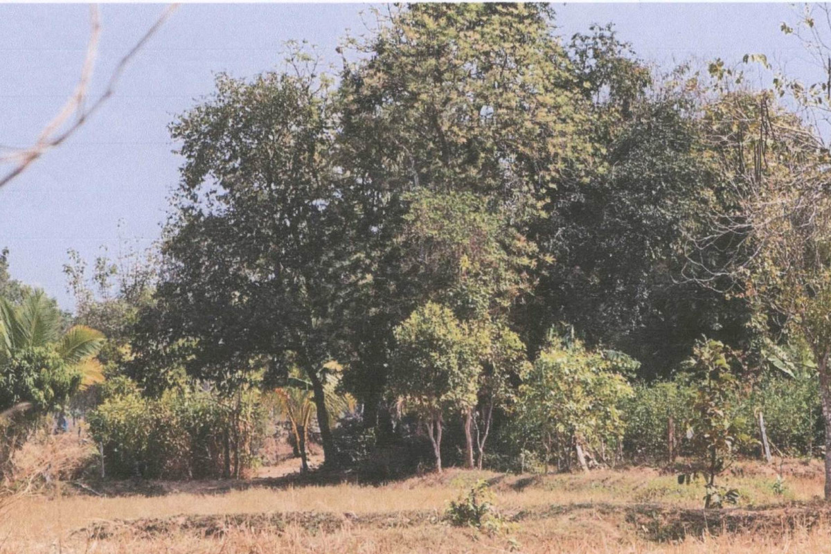 Residential land/lot Maha Sarakham Na Dun Ku Santarat 767000