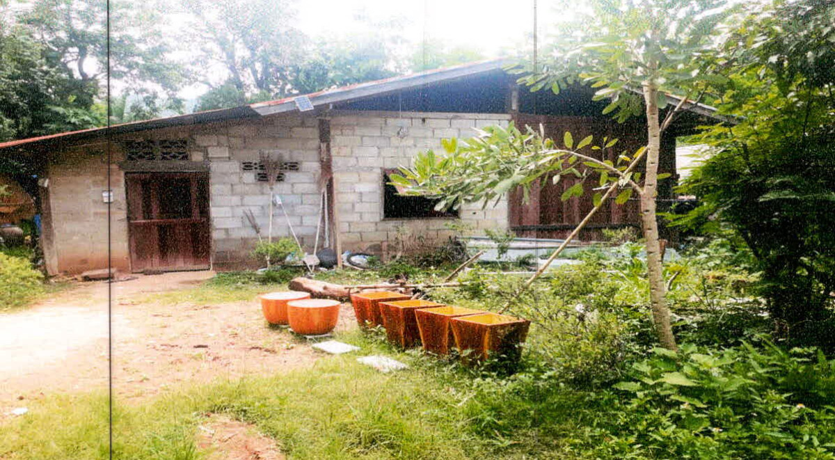 Single house Loei Nong Hin Puan Phu 471675
