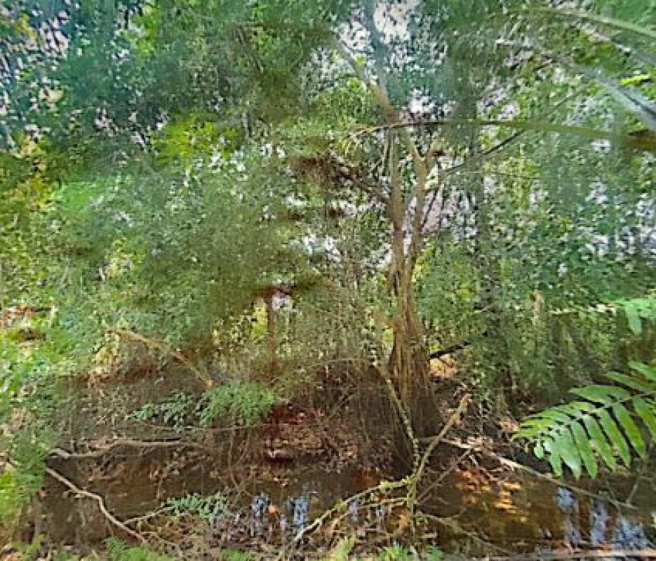 Residential land/lot Nakhon Si Thammarat Mueang Nakhon Si Thammarat Pak Phun 469000