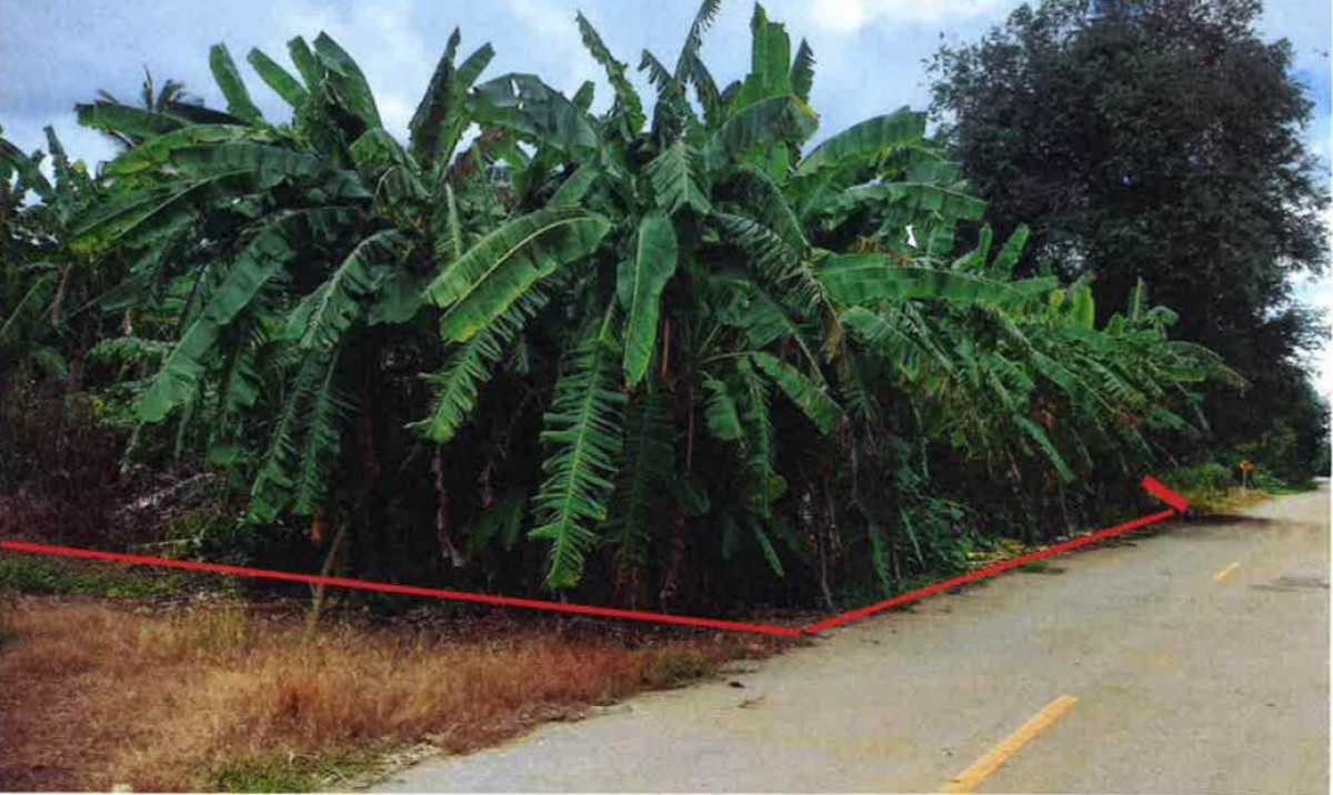 Residential land/lot Sukhothai Sri Nakhon Nong Bua 958500