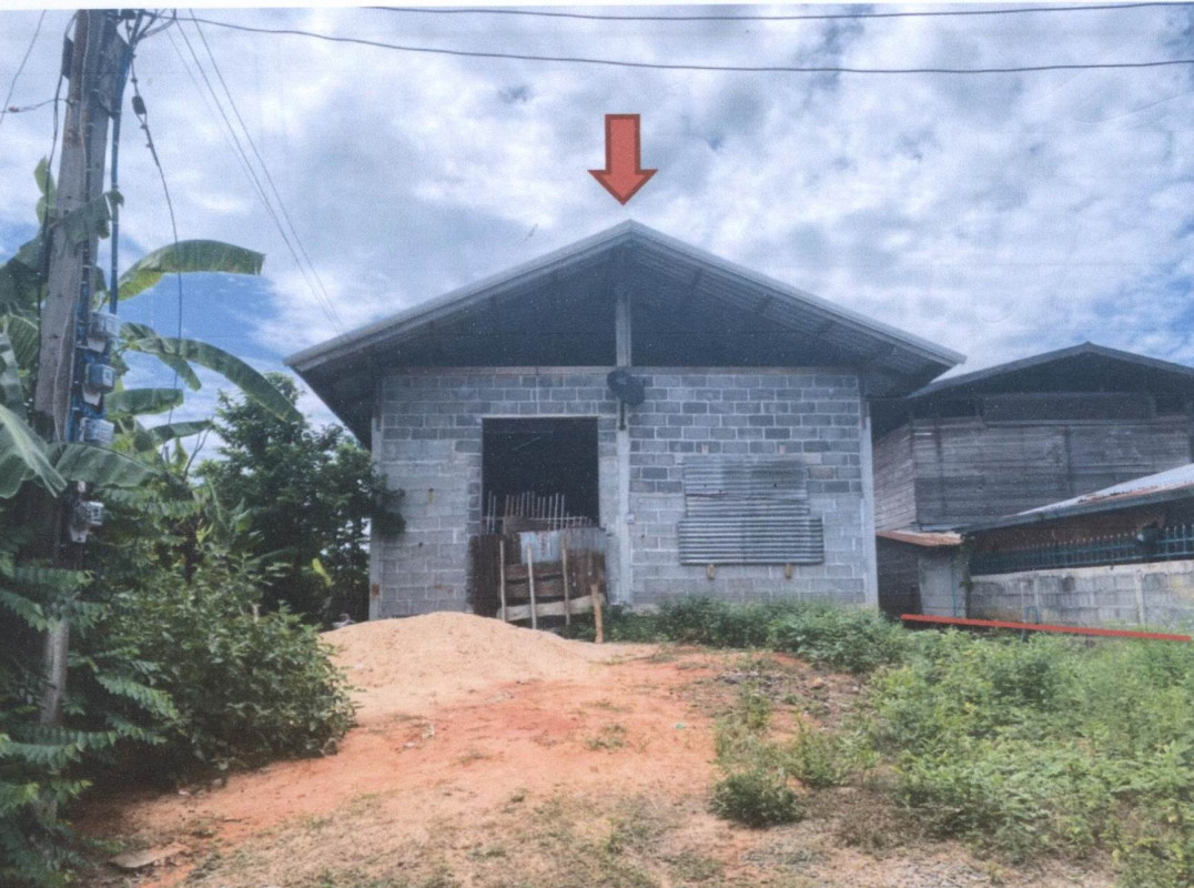 บ้านเดี่ยว สุรินทร์ ท่าตูม หนองบัว 395100