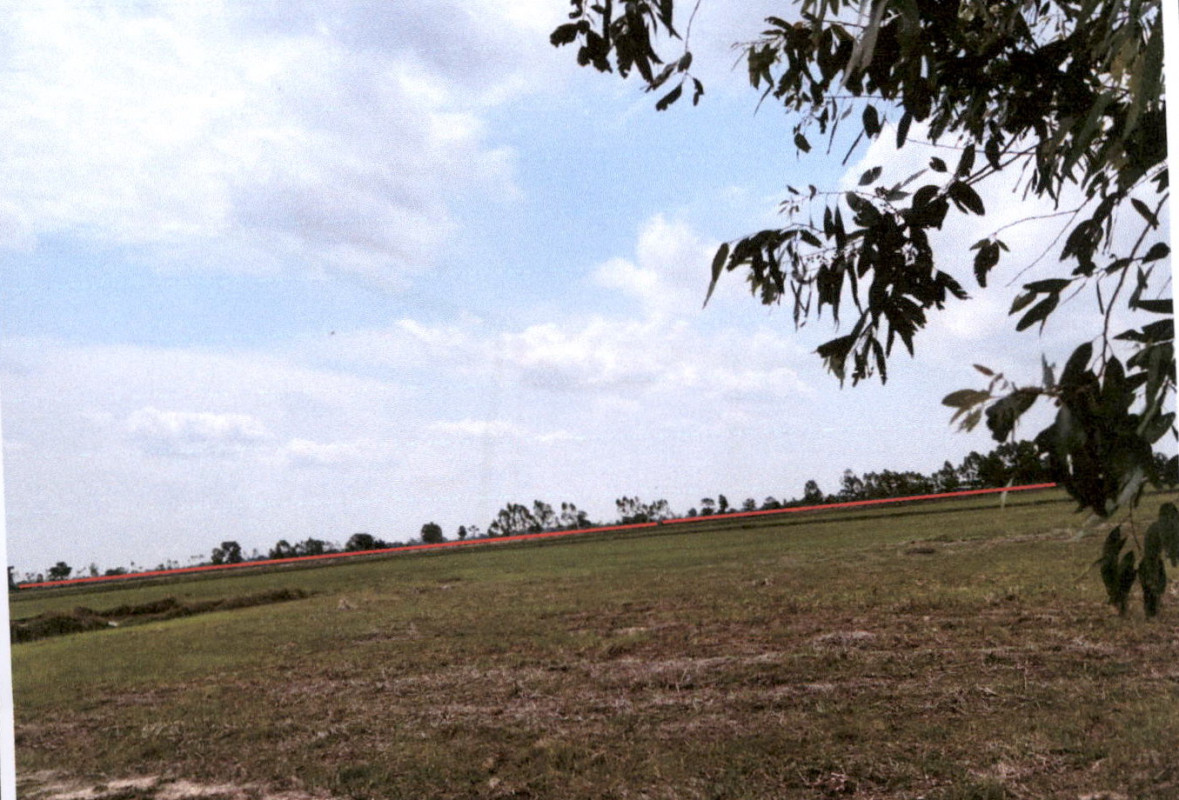 Residential land/lot Surin Chumphon Buri Na Nong Phai 933360