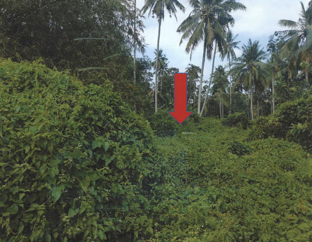 Residential land/lot Surat Thani Ko Samui Na Mueang 1178100