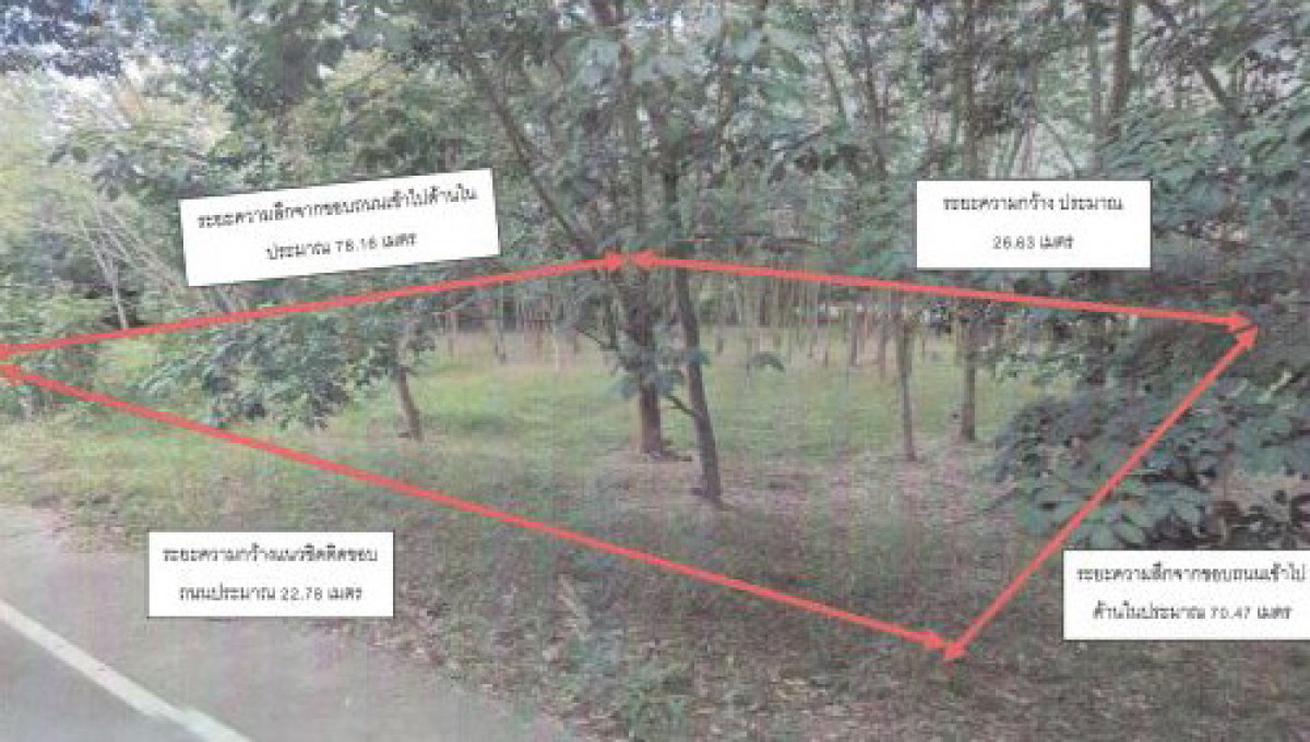 ที่ดินเปล่า เลย ภูหลวง ภูหอ 189544