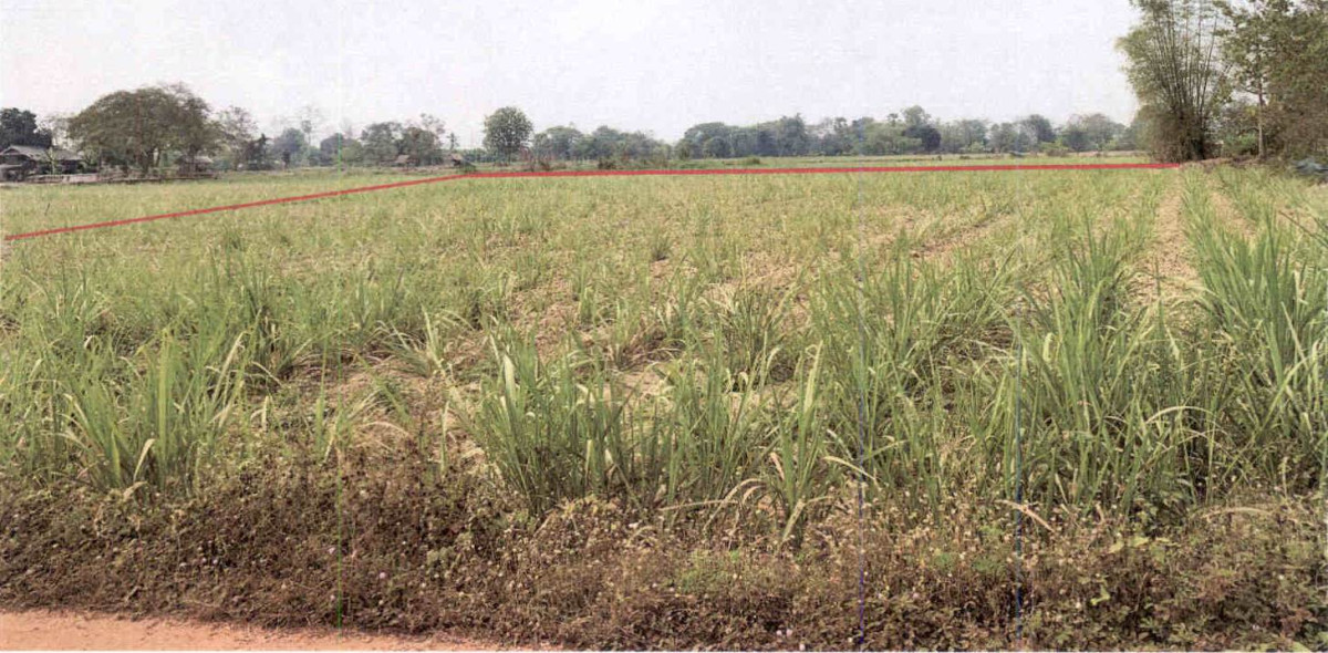 Residential land/lot Sukhothai Sri Satchanalai Pa Ngio 280000