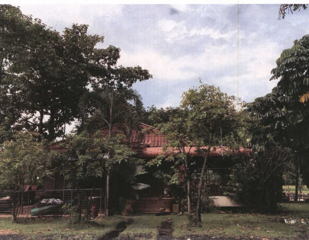 บ้านเดี่ยว สุราษฎร์ธานี เกาะสมุย แม่น้ำ 3951400