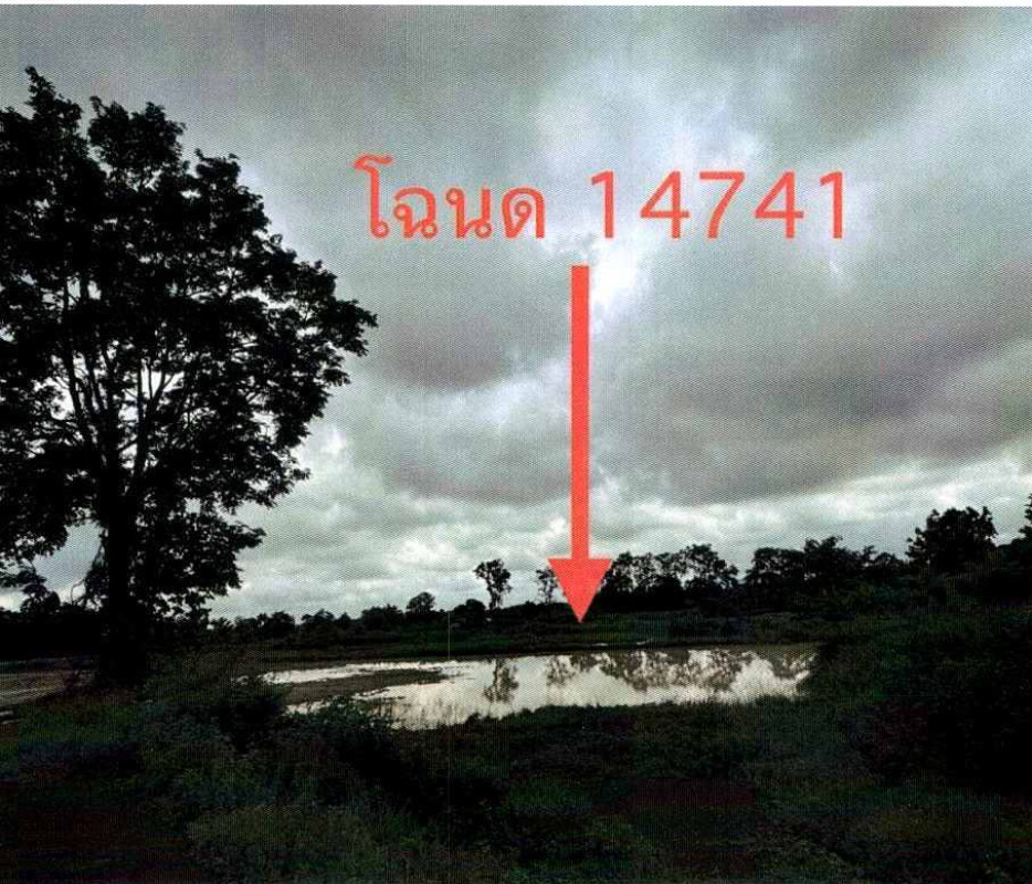 ที่ดินเปล่า หนองคาย สระใคร บ้านฝาง 1960400