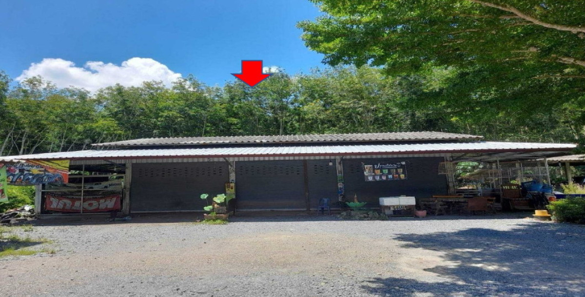บ้านเดี่ยว นครศรีธรรมราช ทุ่งสง นาไม้ไผ่ 1289112