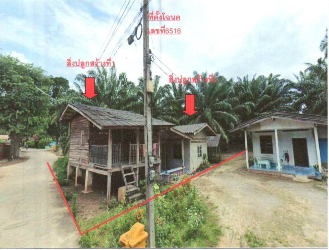 บ้านเดี่ยว สุราษฎร์ธานี ชัยบุรี สองแพรก 366405