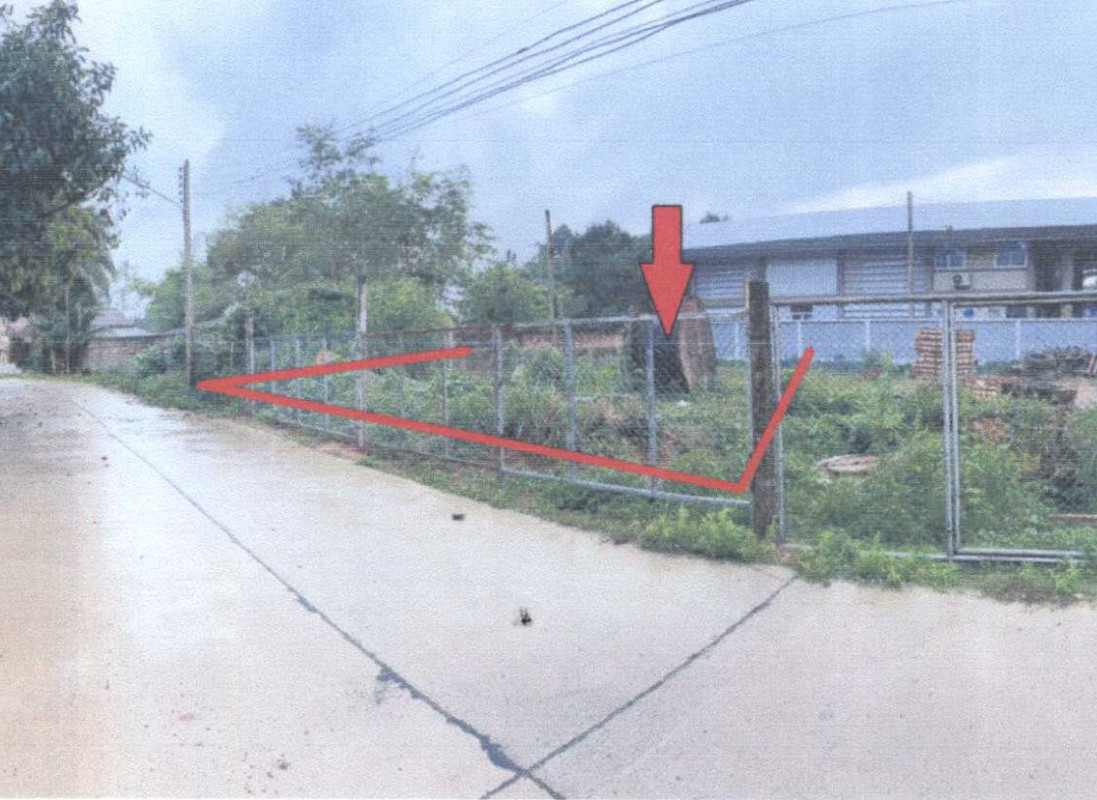 Residential land/lot Surat Thani Phrasaeng I Pan 50232