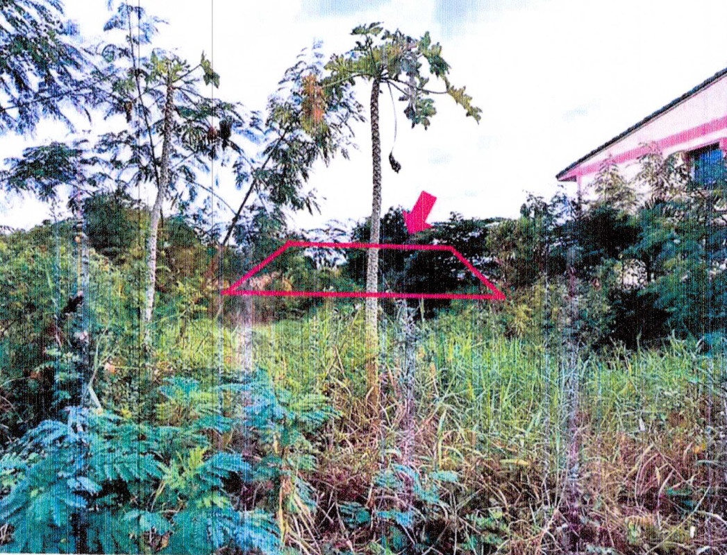 Residential land/lot Chon Buri Phan Thong Phan Thong 3208960