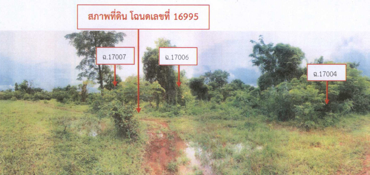 ที่ดินเปล่า สกลนคร สว่างแดนดิน ทรายมูล 20000
