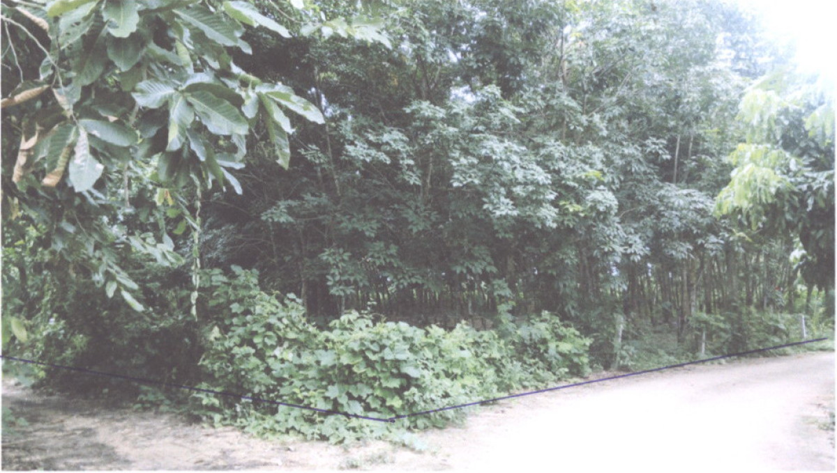 บ้านเดี่ยว อุดรธานี บ้านผือ เมืองพาน 892000