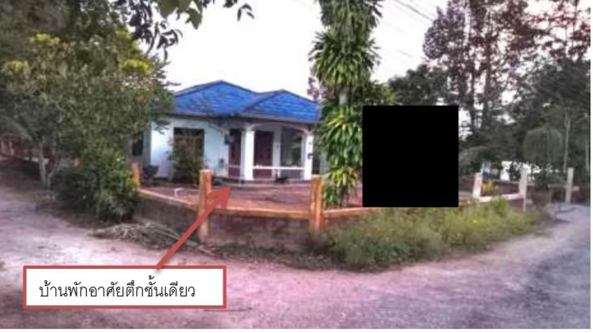 บ้านเดี่ยว สุราษฎร์ธานี บ้านนาสาร ควนศรี 1302825