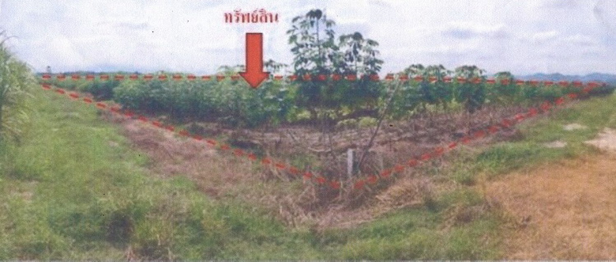 Residential land/lot Ratchaburi Suan Phueng Pa Wai 722300
