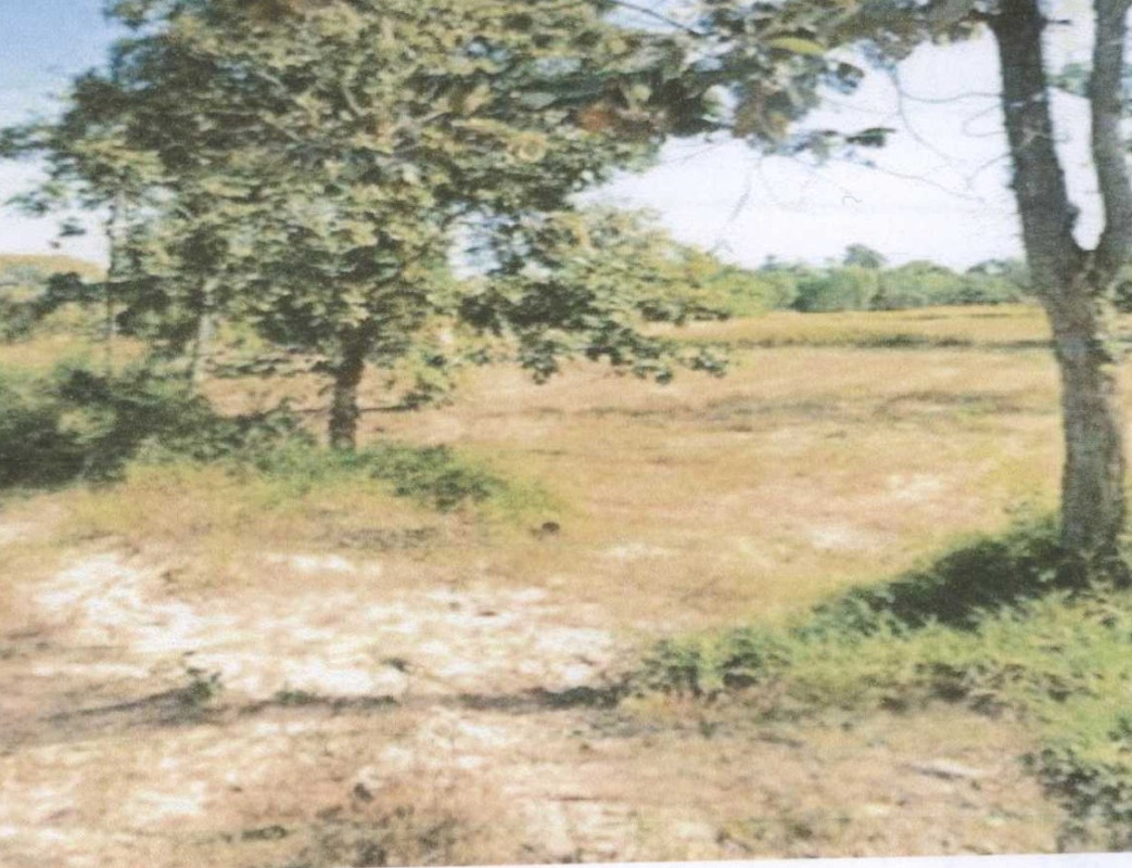 Residential land/lot Maha Sarakham Na Chueak Nong Pho 2545550