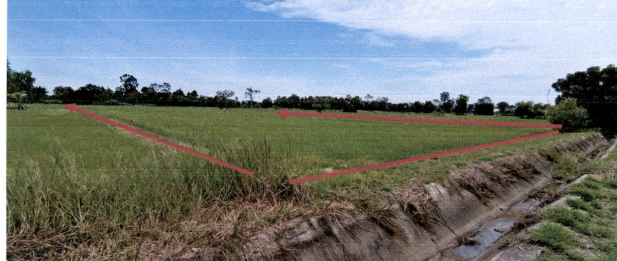 Residential land/lot Surin Tha Tum Nong Bua 437940