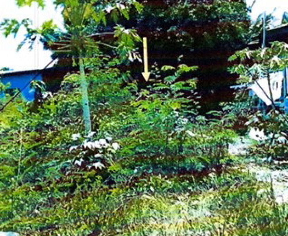 Residential land/lot Chon Buri Mueang Chon Buri Ban Suan 322000
