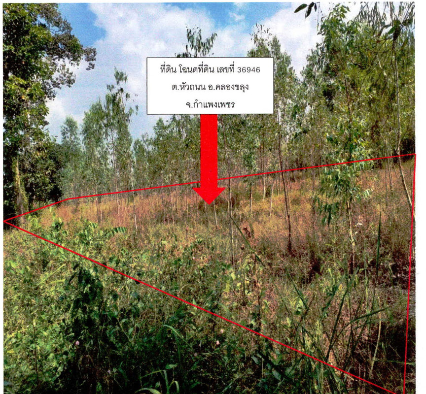 Residential land/lot Kamphaeng Phet Khlong Khlung Hua Thanon 127152