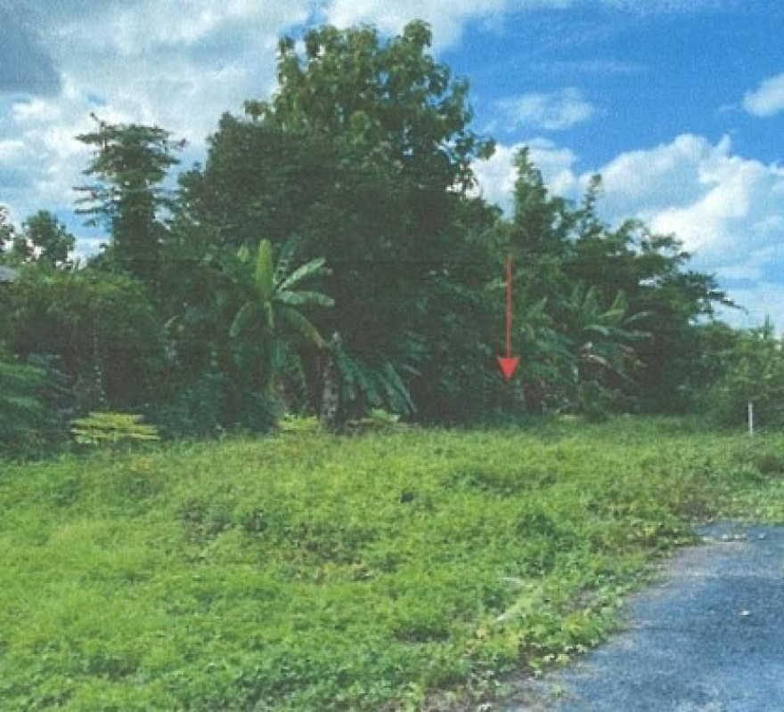 Residential land/lot Chiang Mai Saraphi Khua Mung 32400
