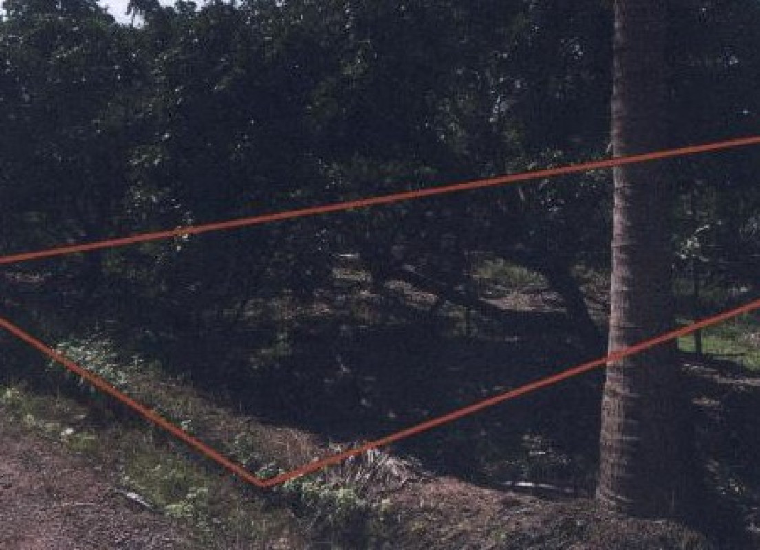 Residential land/lot Chiang Mai San Pa Tong Makham Luang 778500