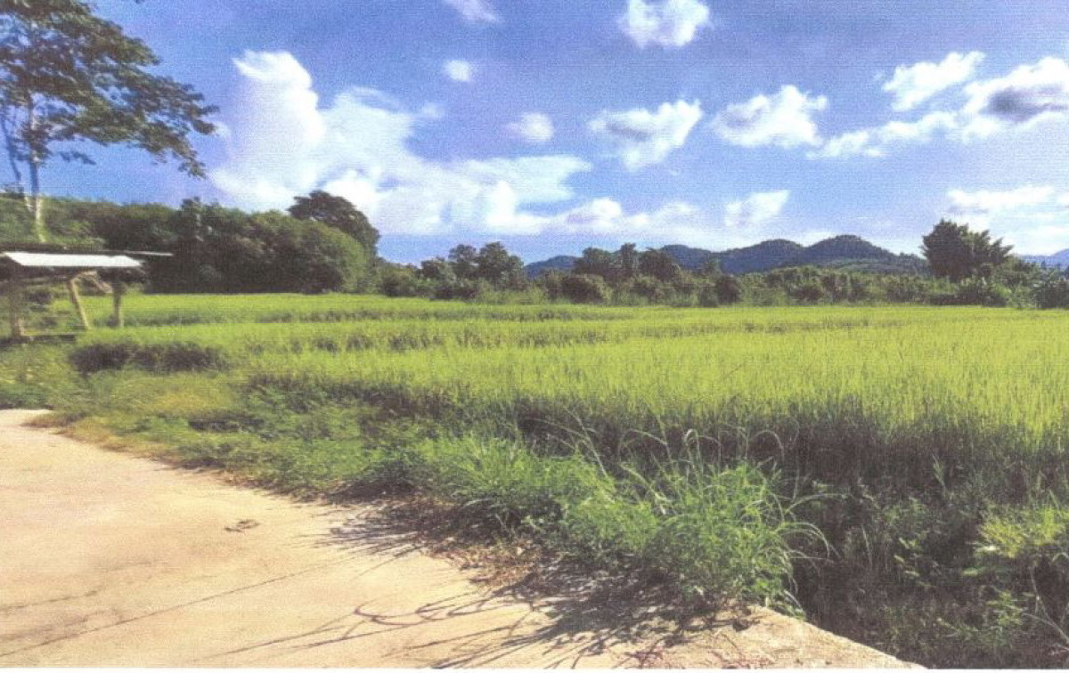 Residential land/lot Nan Ban Luang Ban Fa 21678