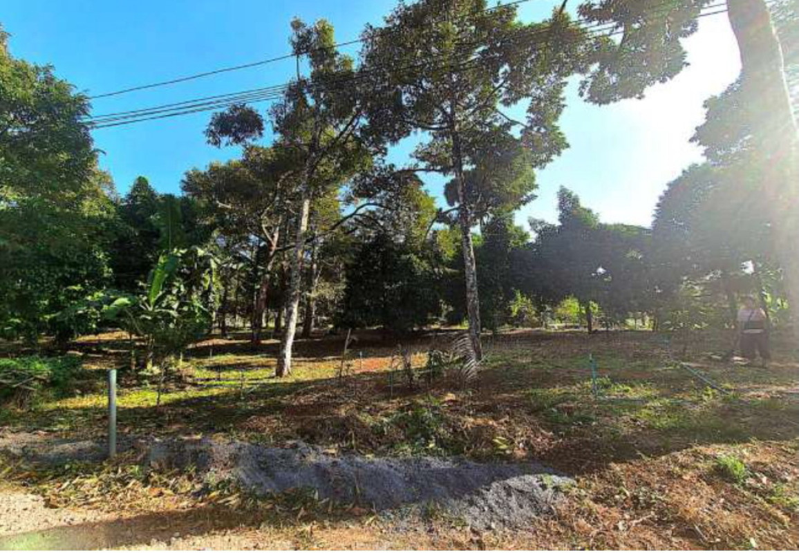 ที่ดินเปล่า จันทบุรี ท่าใหม่ ท่าใหม่ 290460