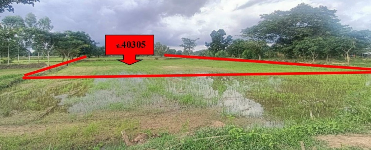 Residential land/lot Nakhon Ratchasima Lam Thamenchai Chong Maeo 93975