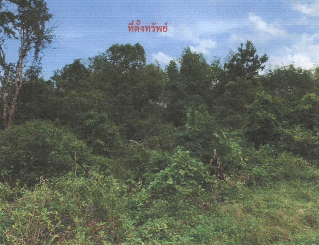 ที่ดินเปล่า ปัตตานี แม่ลาน ป่าไร่ 29800