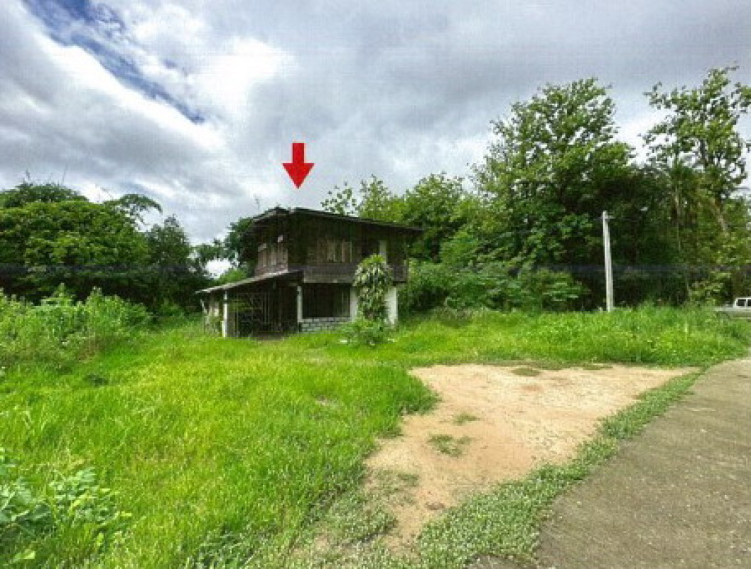 บ้านเดี่ยว พิจิตร สากเหล็ก หนองหญ้าไทร 360916