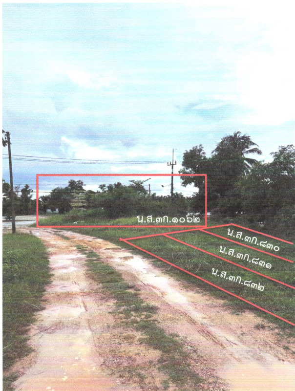 ที่ดินเปล่า สุราษฎร์ธานี ไชยา พุมเรียง 36000