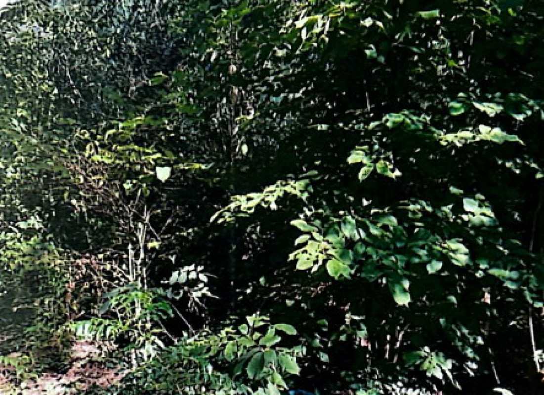 Residential land/lot Maha Sarakham Chiang Yuen Ku Thong 203320