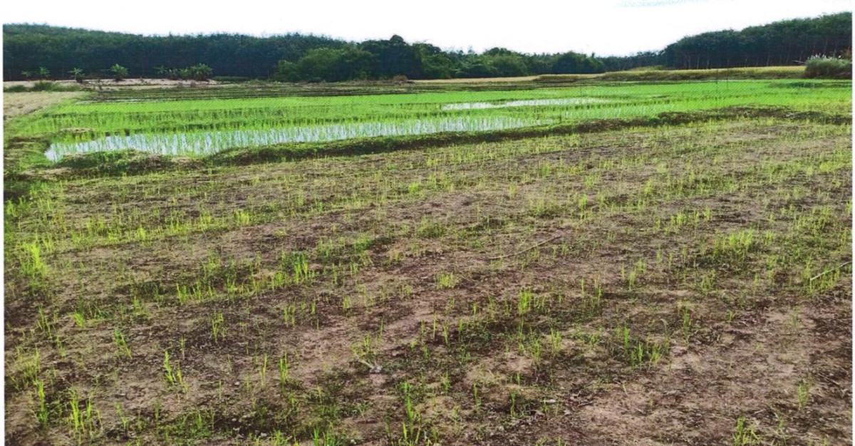 ที่ดินเปล่า เชียงราย เมืองเชียงราย ห้วยสัก 824460