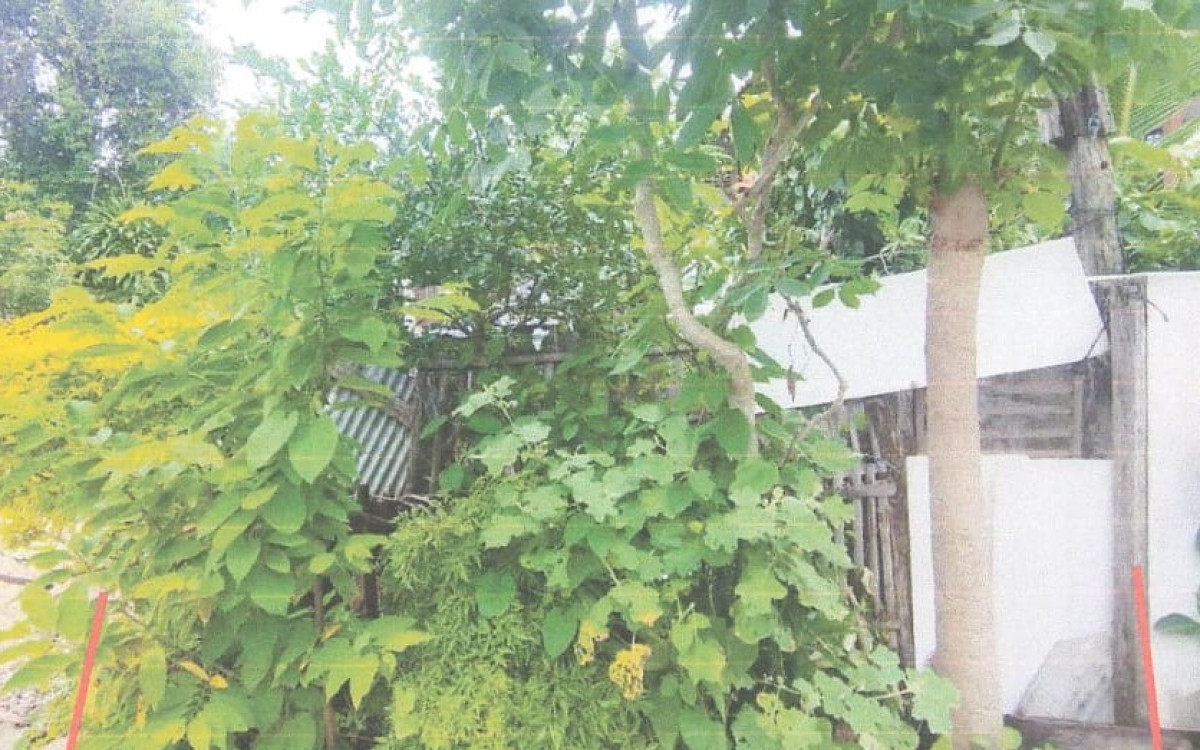 Residential land/lot Chiang Mai Saraphi Nong Phueng 89600