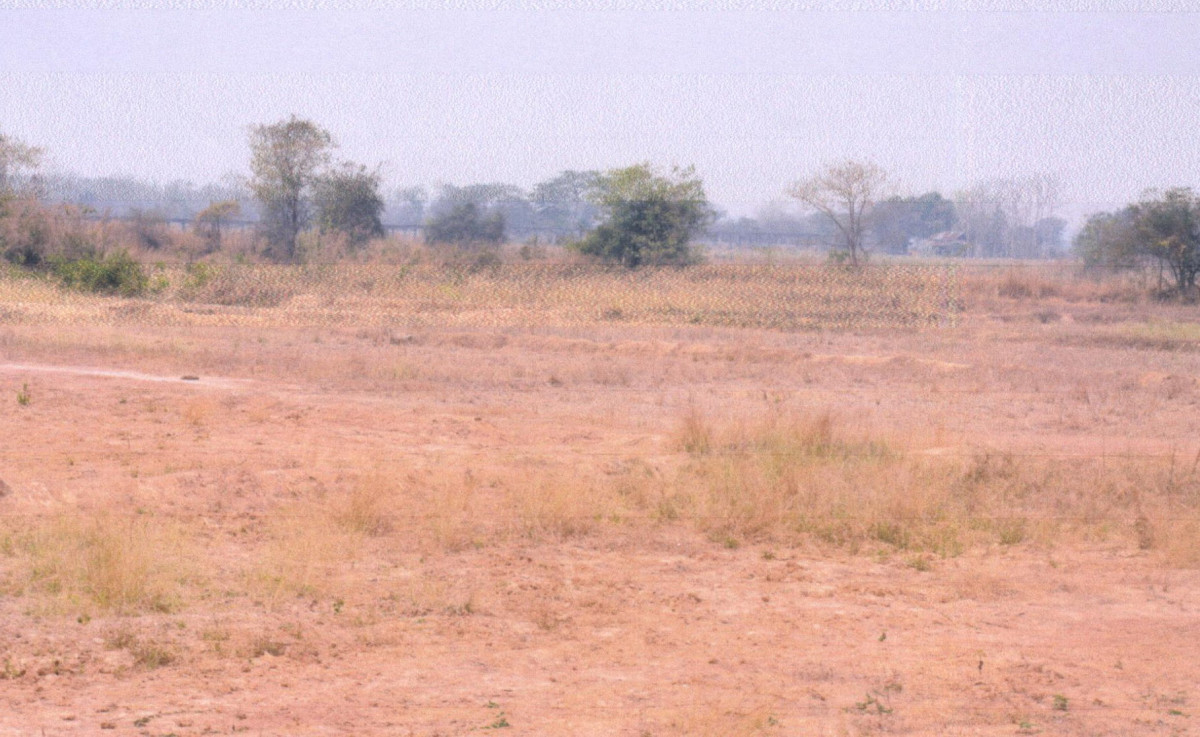 Residential land/lot Phrae Mueang Phrae Rong Fong 96000