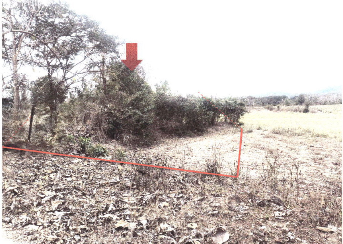 Residential land/lot Phrae Mueang Phrae Tha Kham 119700