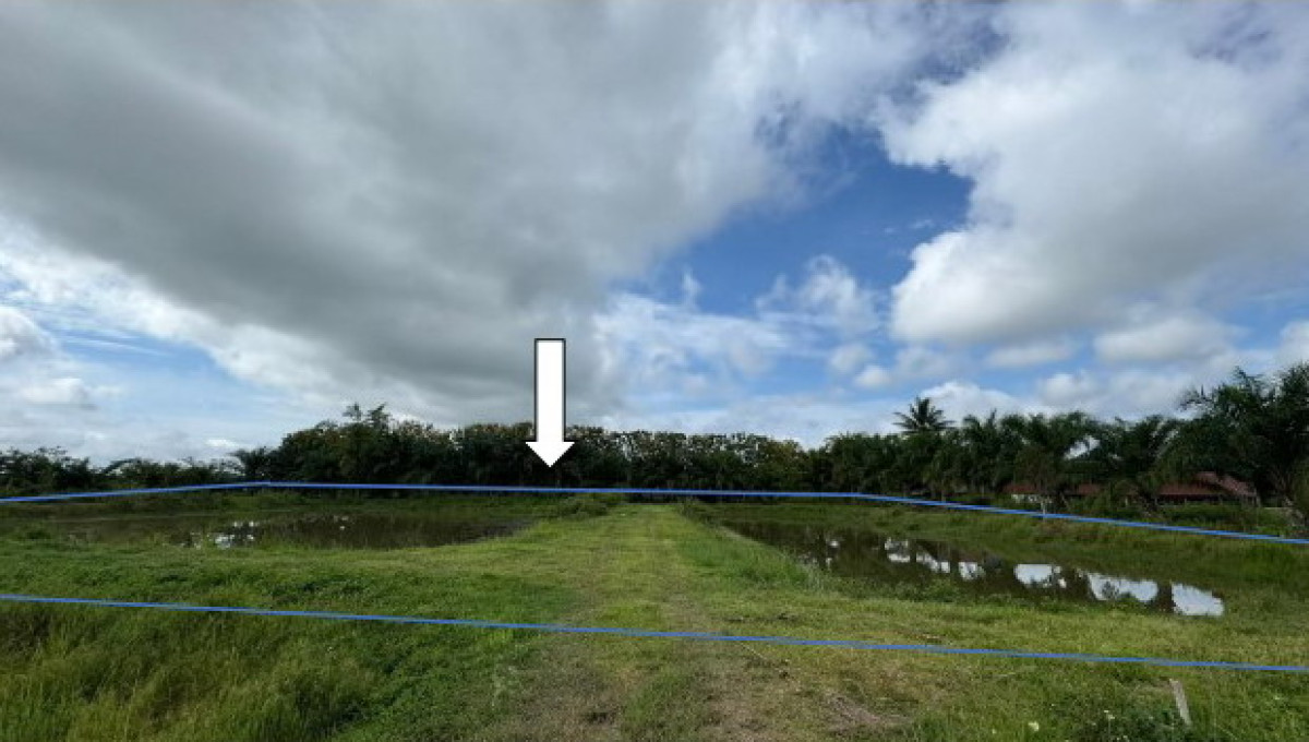 Residential land/lot Chiang Rai Chiang Saen Yonok 565248